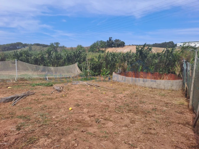 Terreno Agricola ou Rústico para Venda em Atouguia da Baleia Foto 4