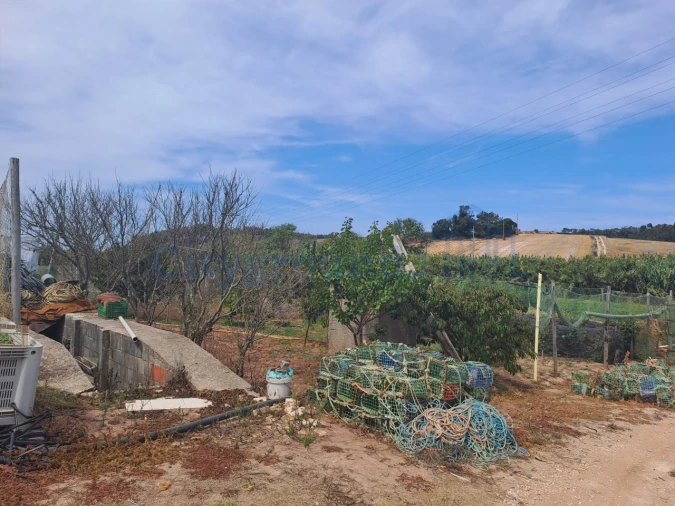 Terreno Agricola ou Rústico para Venda em Atouguia da Baleia Foto 9