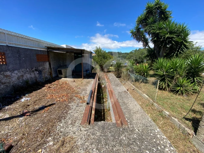 Armazém para Venda em Queluz e Belas Foto 34