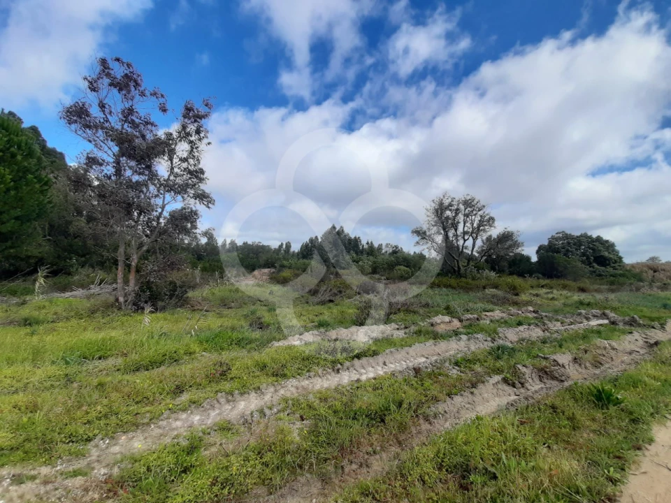 Terreno Agricola ou Rústico para Venda em Pegões Foto 2