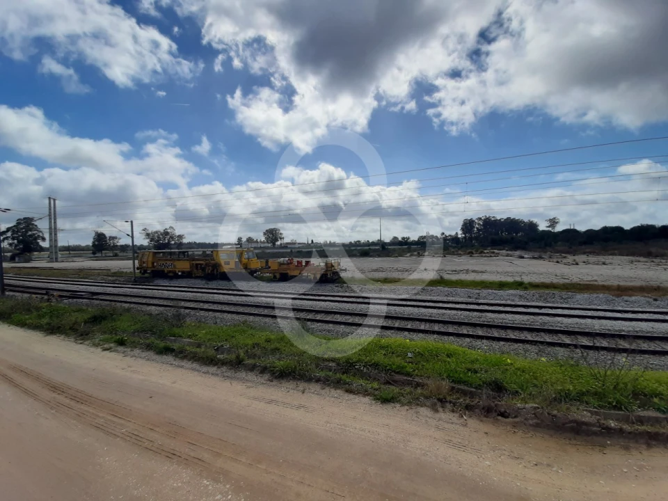 Terreno Agricola ou Rústico para Venda em Pegões Foto 5