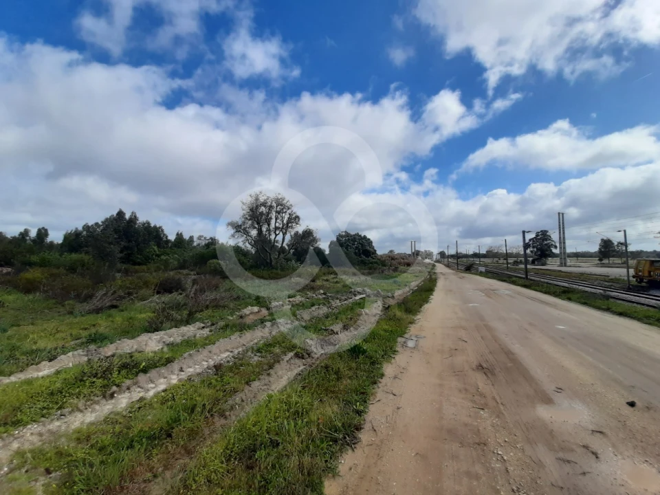 Terreno Agricola ou Rústico para Venda em Pegões Foto 6