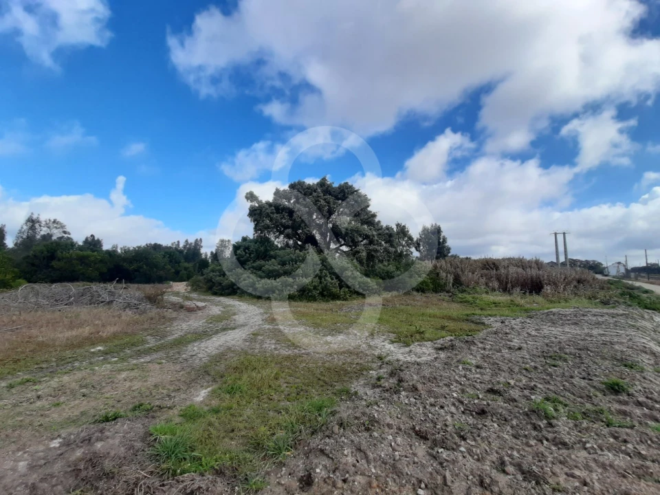 Terreno Agricola ou Rústico para Venda em Pegões Foto 16