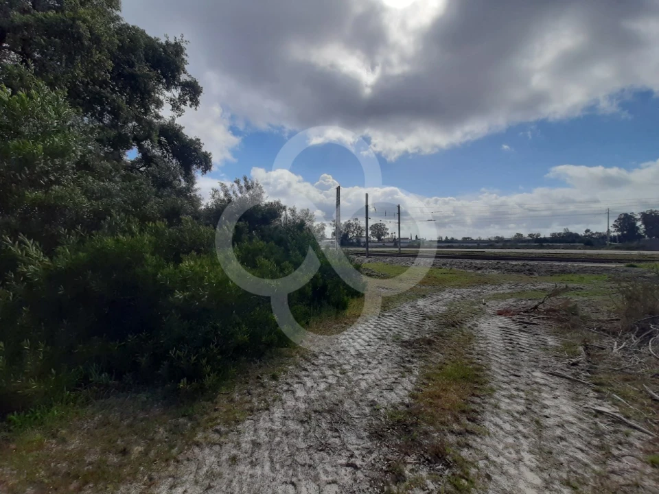 Terreno Agricola ou Rústico para Venda em Pegões Foto 19