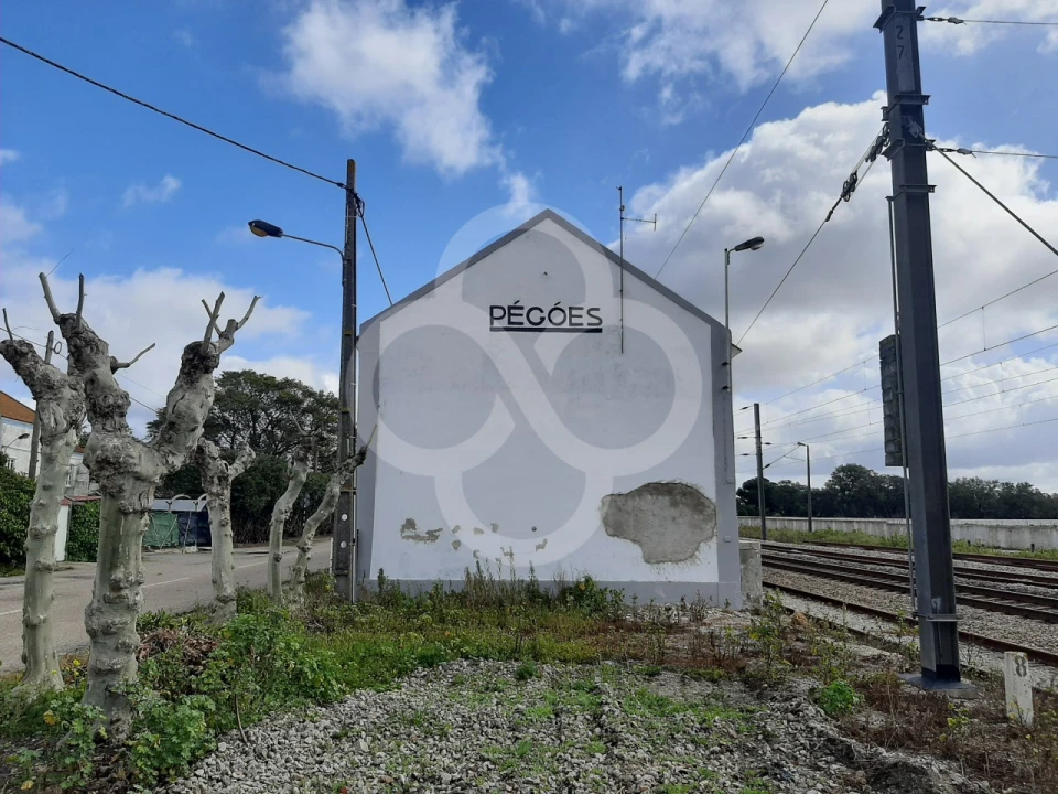 Terreno Agricola ou Rústico para Venda em Pegões Foto 24