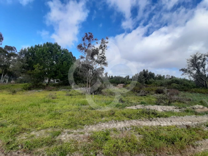 Terreno Agricola ou Rústico para Venda em Pegões Foto 3