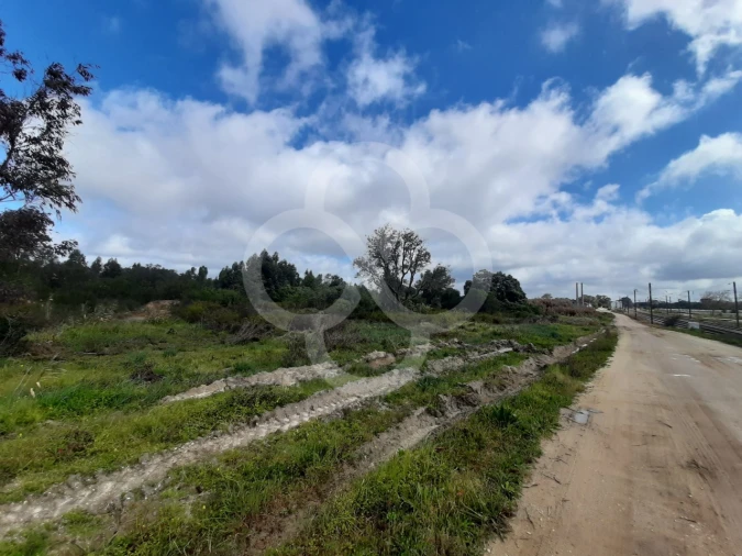 Terreno Agricola ou Rústico para Venda em Pegões