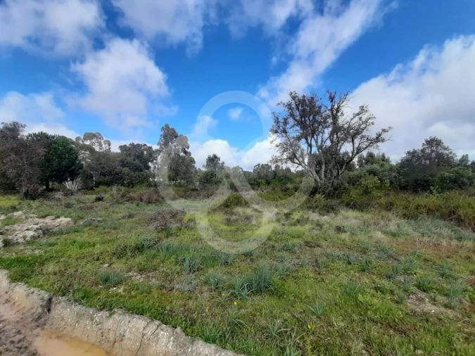 Terreno Agricola ou Rústico para Venda em Pegões Foto 8