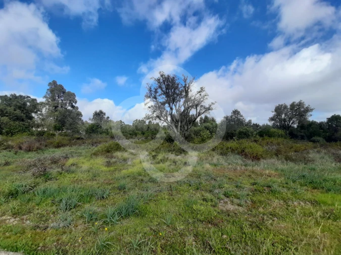 Terreno Agricola ou Rústico para Venda em Pegões Foto 9