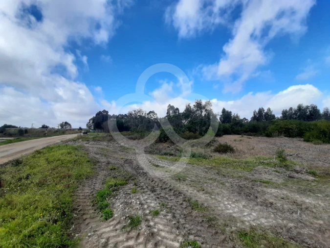 Terreno Agricola ou Rústico para Venda em Pegões Foto 11