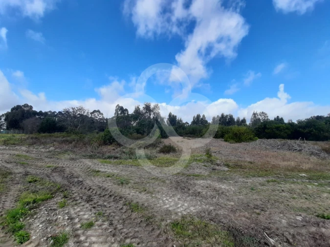 Terreno Agricola ou Rústico para Venda em Pegões Foto 13