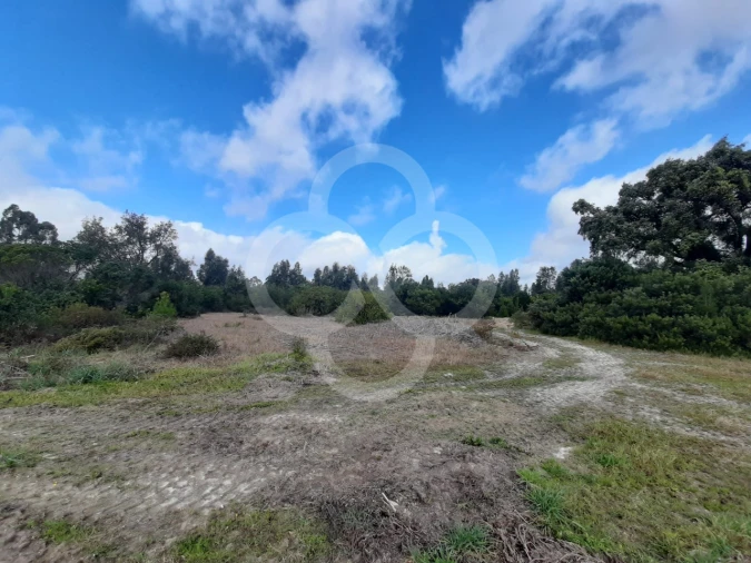 Terreno Agricola ou Rústico para Venda em Pegões Foto 14
