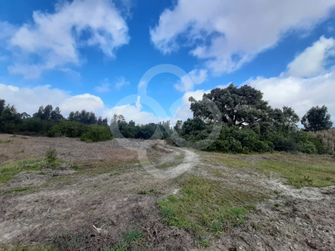 Terreno Agricola ou Rústico para Venda em Pegões Foto 15