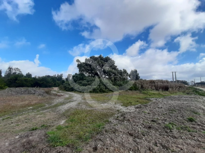 Terreno Agricola ou Rústico para Venda em Pegões Foto 16