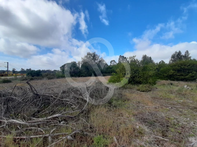 Terreno Agricola ou Rústico para Venda em Pegões Foto 17