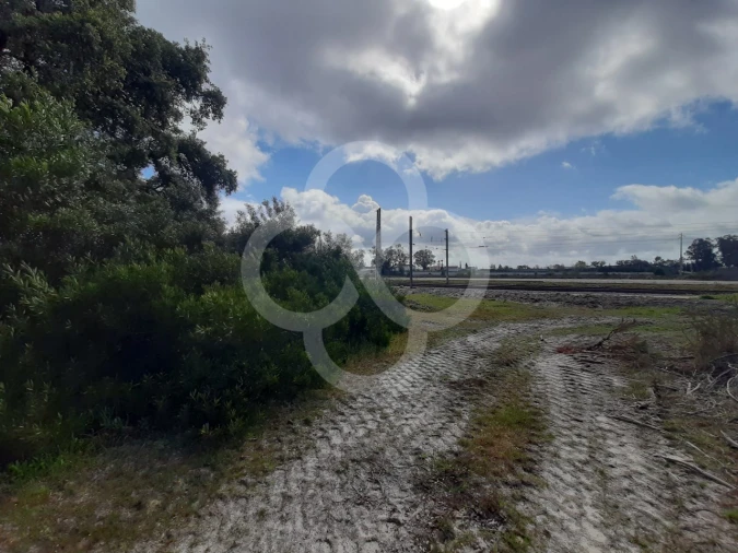 Terreno Agricola ou Rústico para Venda em Pegões Foto 19