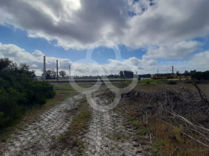 Terreno Agricola ou Rústico para Venda em Pegões Foto 21