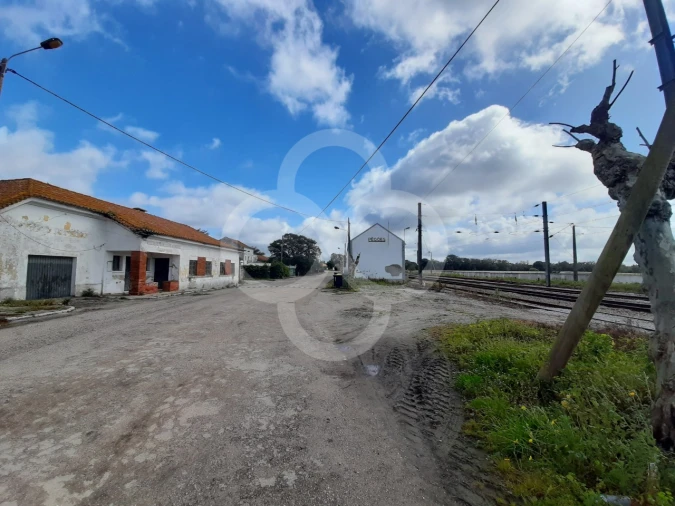 Terreno Agricola ou Rústico para Venda em Pegões Foto 22