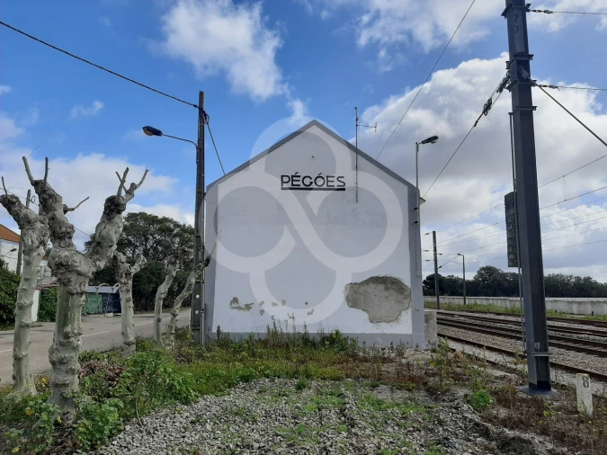 Terreno Agricola ou Rústico para Venda em Pegões Foto 24
