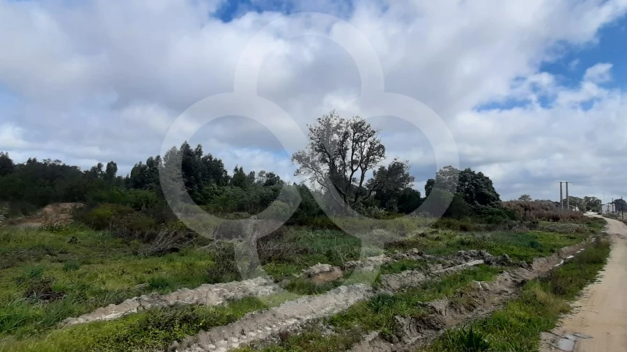 Terreno Agricola ou Rústico para Venda em Pegões