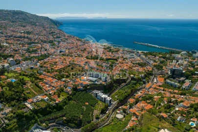 Apartamento T5 para Venda em Funchal (Santa Luzia)