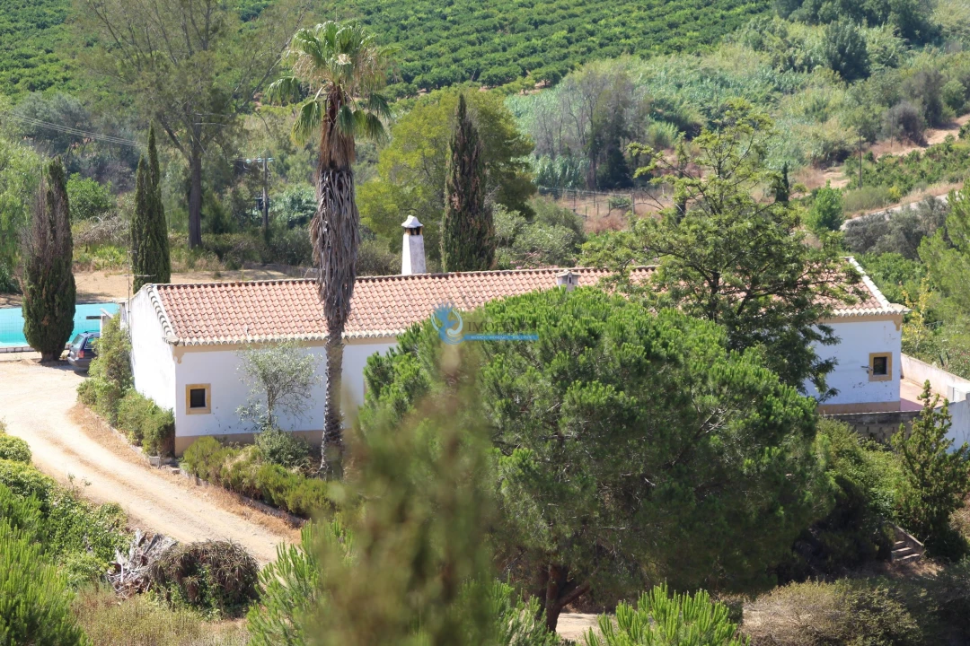Quinta T14 para Venda em São Silvestre Foto 4