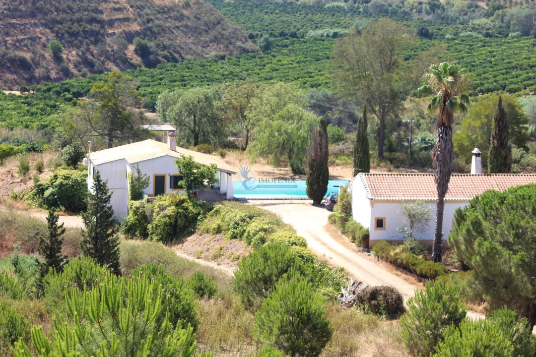 Quinta T14 para Venda em São Silvestre Foto 3