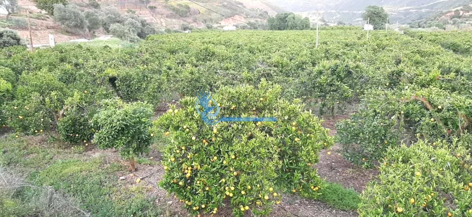 Quinta T14 para Venda em São Silvestre Foto 20