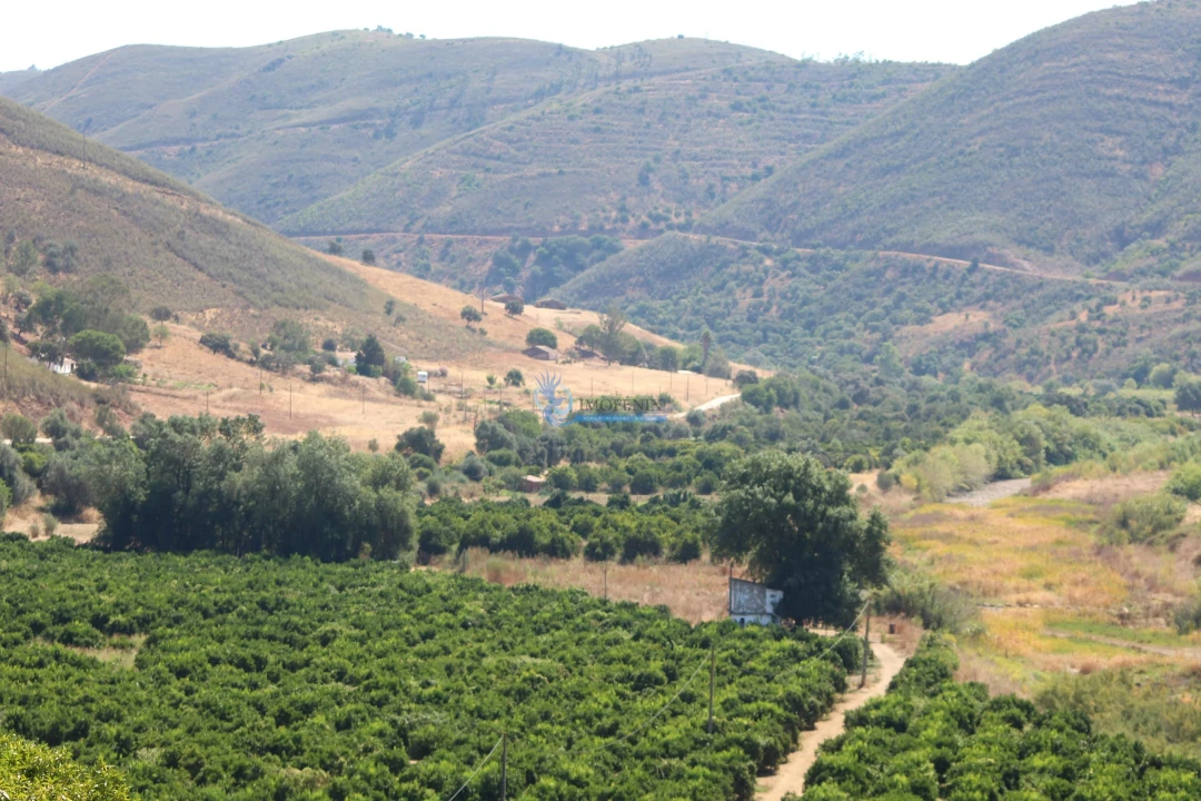 Quinta T14 para Venda em São Silvestre Foto 21