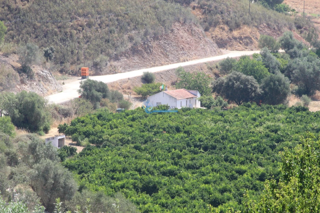 Quinta T14 para Venda em São Silvestre Foto 24
