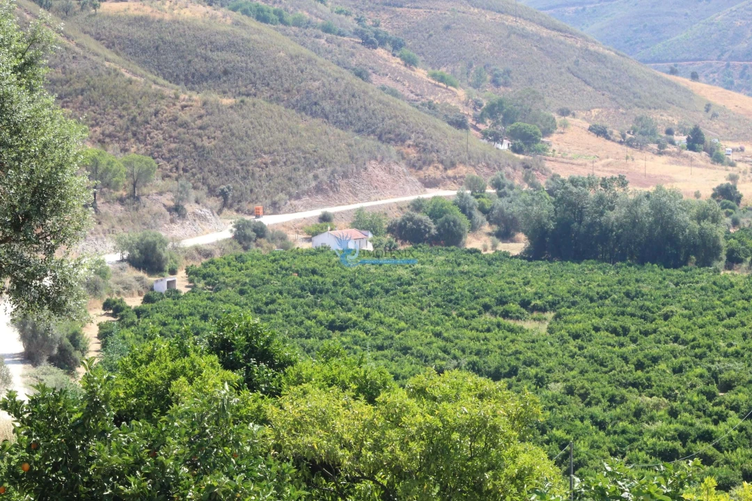 Quinta T14 para Venda em São Silvestre Foto 22