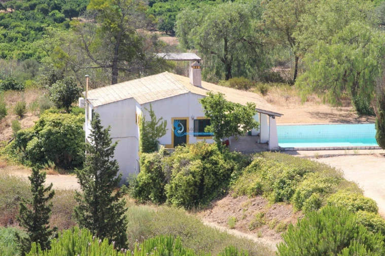 Quinta T14 para Venda em São Silvestre Foto 5