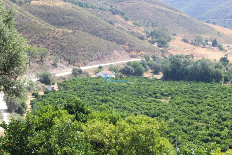 Quinta T14 para Venda em São Silvestre Foto 22