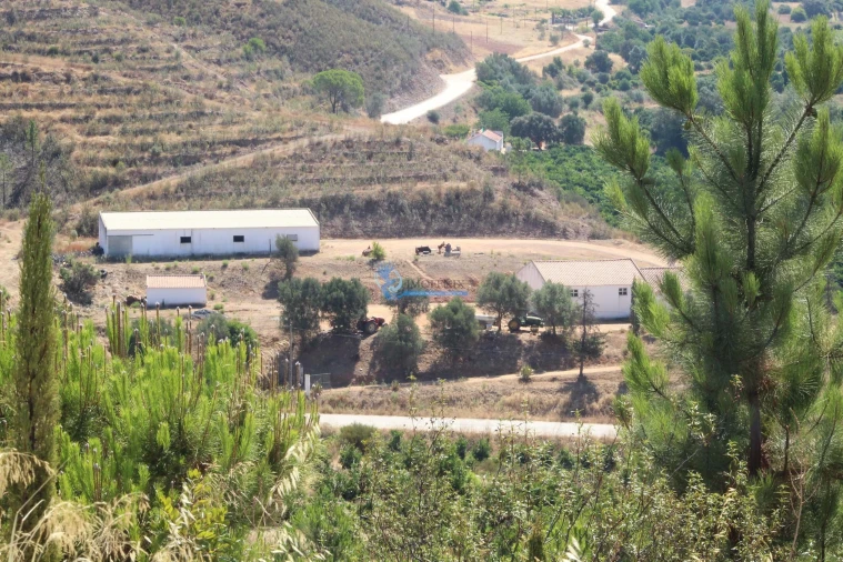 Quinta T14 para Venda em São Silvestre Foto 7