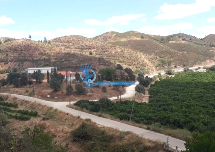 Quinta T14 para Venda em São Silvestre Foto 19