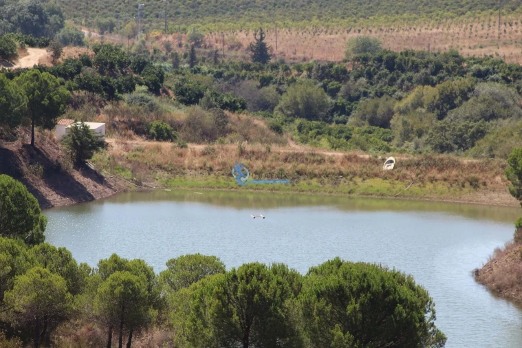 Quinta T14 para Venda em São Silvestre Foto 33