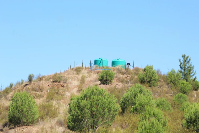 Quinta T14 para Venda em São Silvestre Foto 25
