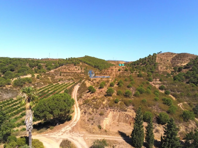 Quinta T14 para Venda em São Silvestre Foto 13