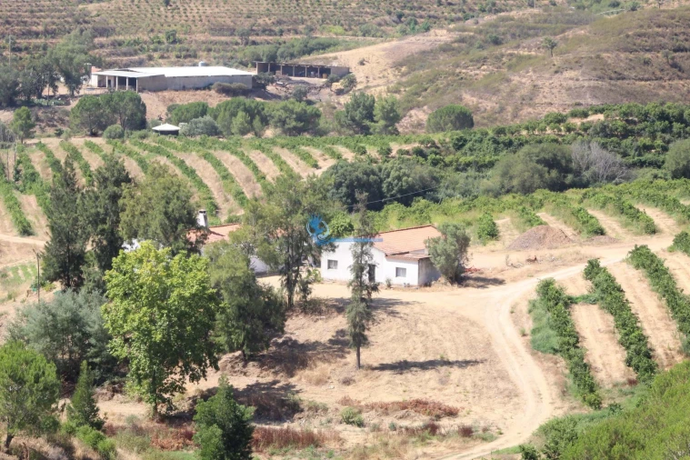 Quinta T14 para Venda em São Silvestre Foto 10