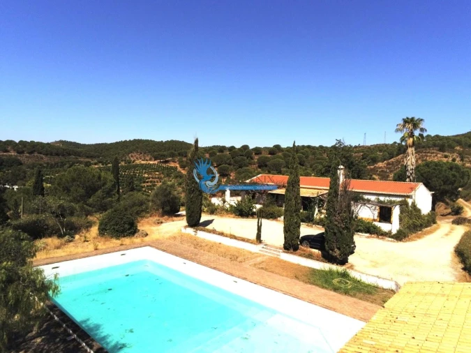 Quinta T14 para Venda em São Silvestre Foto 2