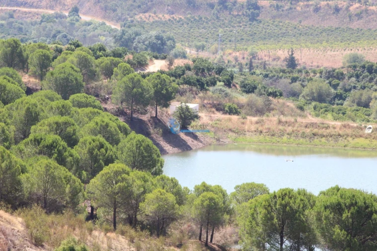Quinta T14 para Venda em São Silvestre Foto 32