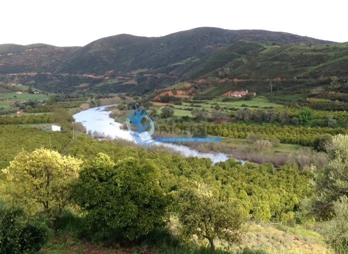 Quinta T14 para Venda em São Silvestre Foto 16