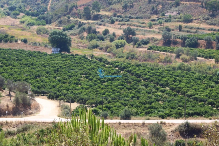 Quinta T14 para Venda em São Silvestre Foto 27