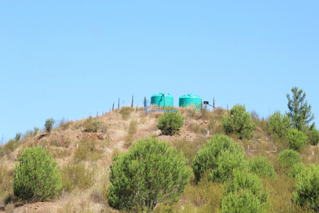 Quinta T14 para Venda em São Silvestre Foto 25