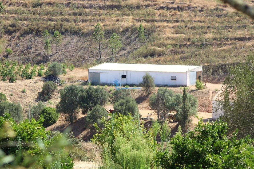 Quinta T14 para Venda em São Silvestre Foto 6