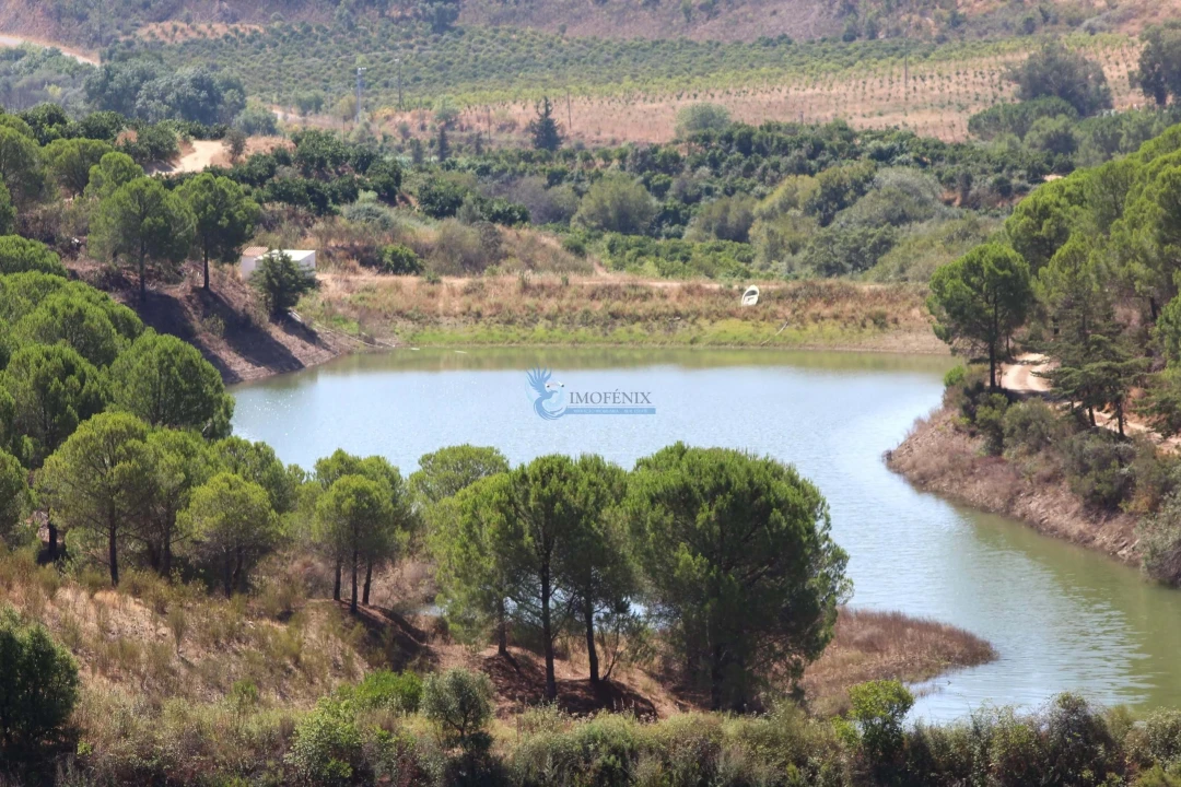 Quinta T14 para Venda em São Silvestre Foto 28