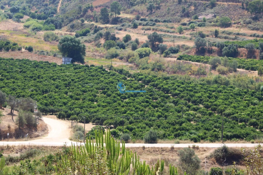 Quinta T14 para Venda em São Silvestre Foto 27