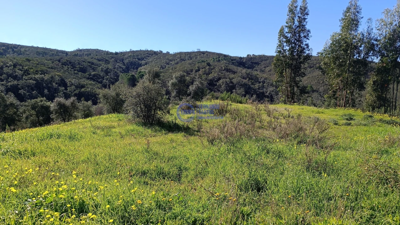 Terreno para Venda em Santana da Serra Foto 9