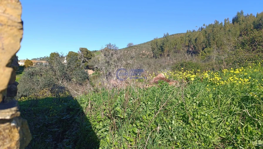 Terreno para Venda em Santana da Serra Foto 12