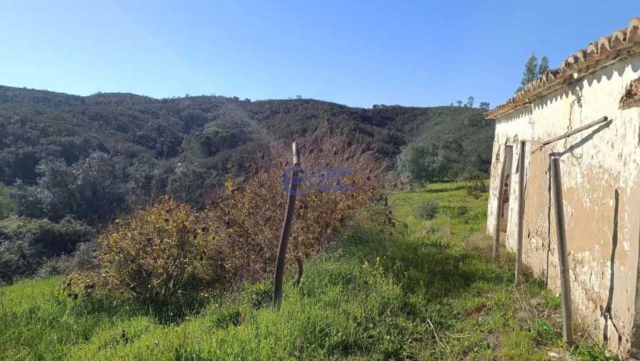 Terreno para Venda em Santana da Serra Foto 13